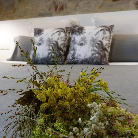 Chic Gran Via, Nuevo De Diseno En Gros By Chicdonosti * Сан-Себастьян